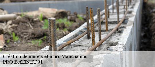 Création de murets et murs